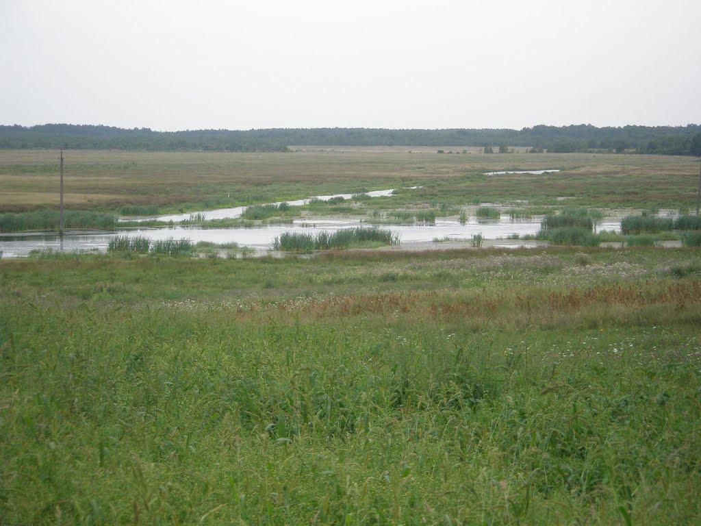 Гулянка з panoramio.com - Гулянка