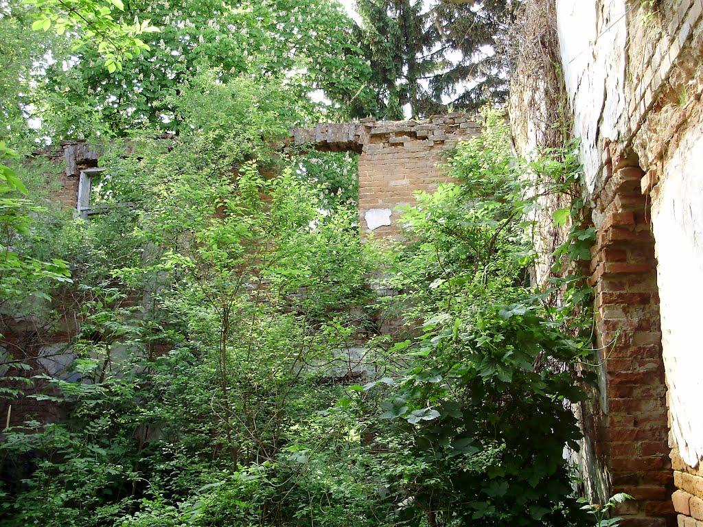 Черниця з panoramio.com - Черниця
