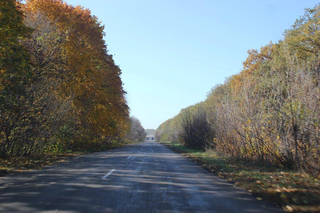 Олександрівка з panoramio.com - Александровка