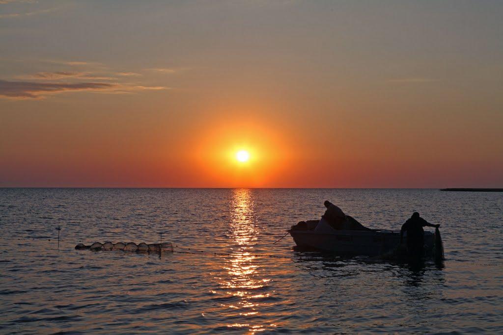 Скадовськ з panoramio.com - Скадовськ