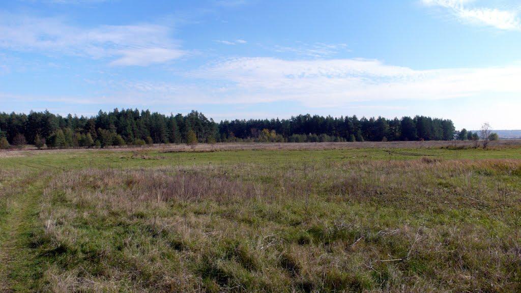 Маяки з panoramio.com - Маяки