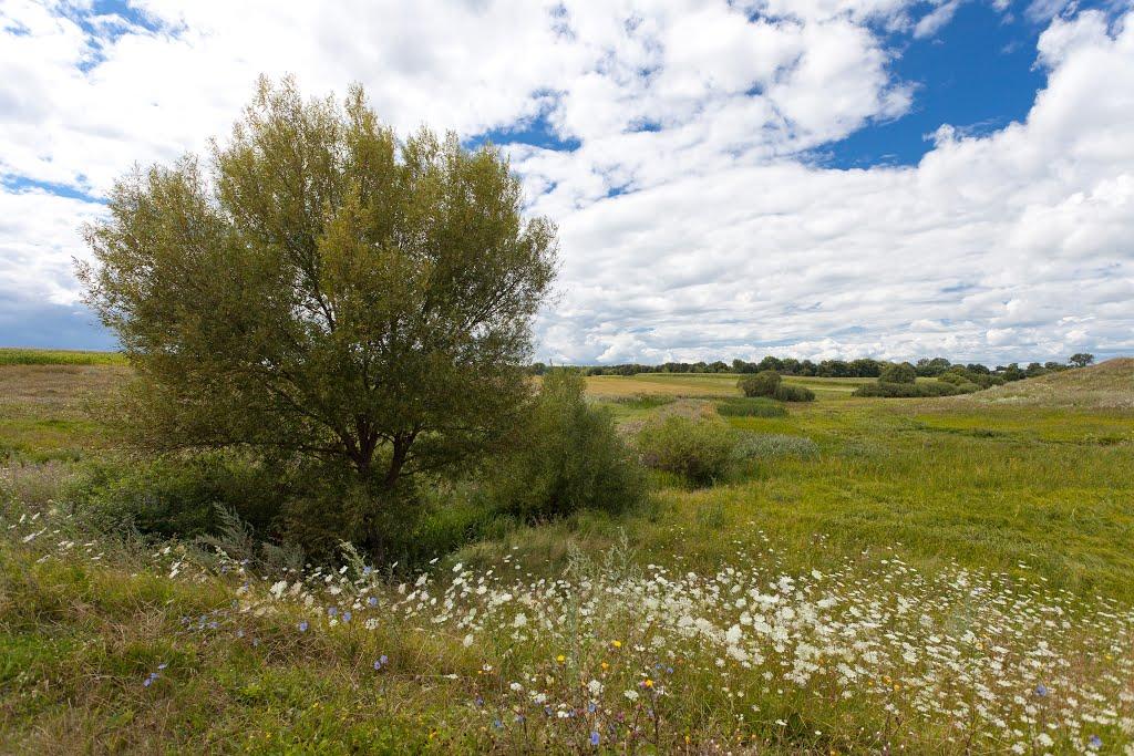 Харліївка з panoramio.com - Харлиевка