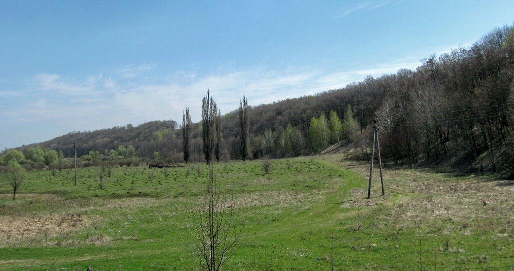 Валки з panoramio.com - Валки