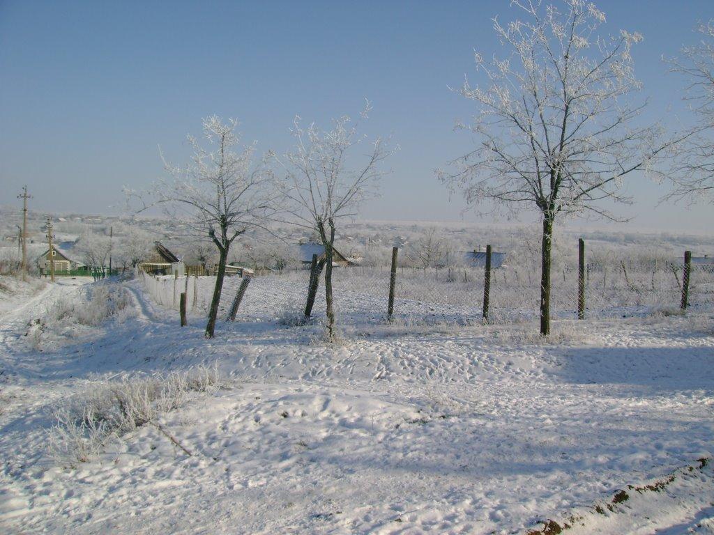 Ганнівка з panoramio.com - Ганнівка