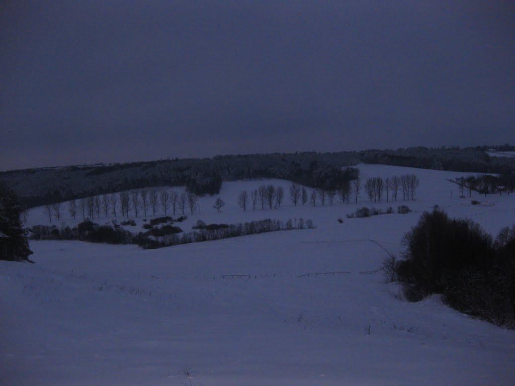 Нова Мощаниця з panoramio.com - Нова Мощаниця