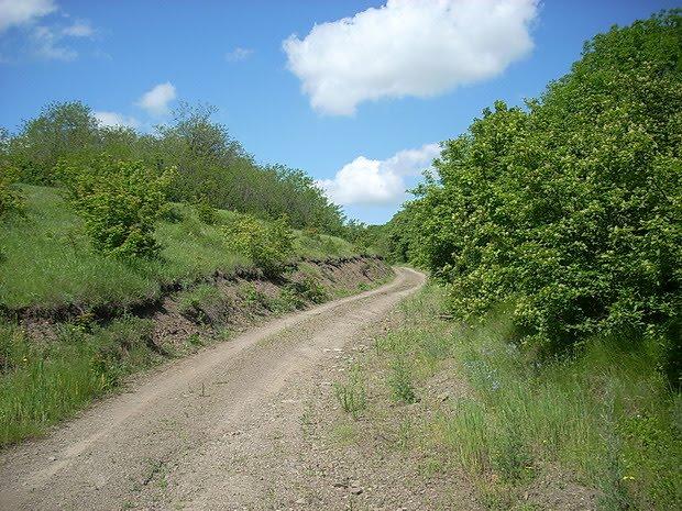Ровеньки з panoramio.com - Rovenky