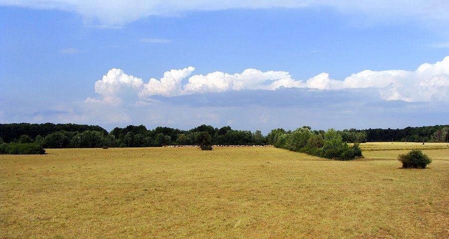 Малі Селменці з panoramio.com - Малые Селлменцы