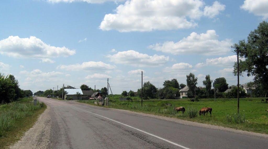 Опарипси з panoramio.com - Опарипси