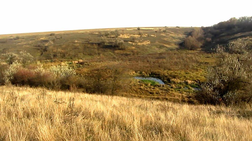 Козакова Балка з panoramio.com - Козакова Балка