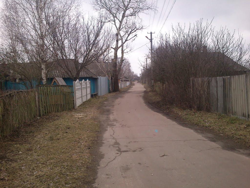 Губичі з panoramio.com - Губичі