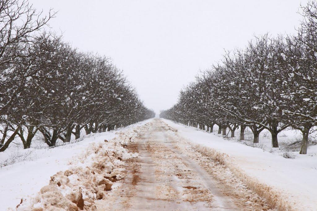 Клапая з panoramio.com - Клапая