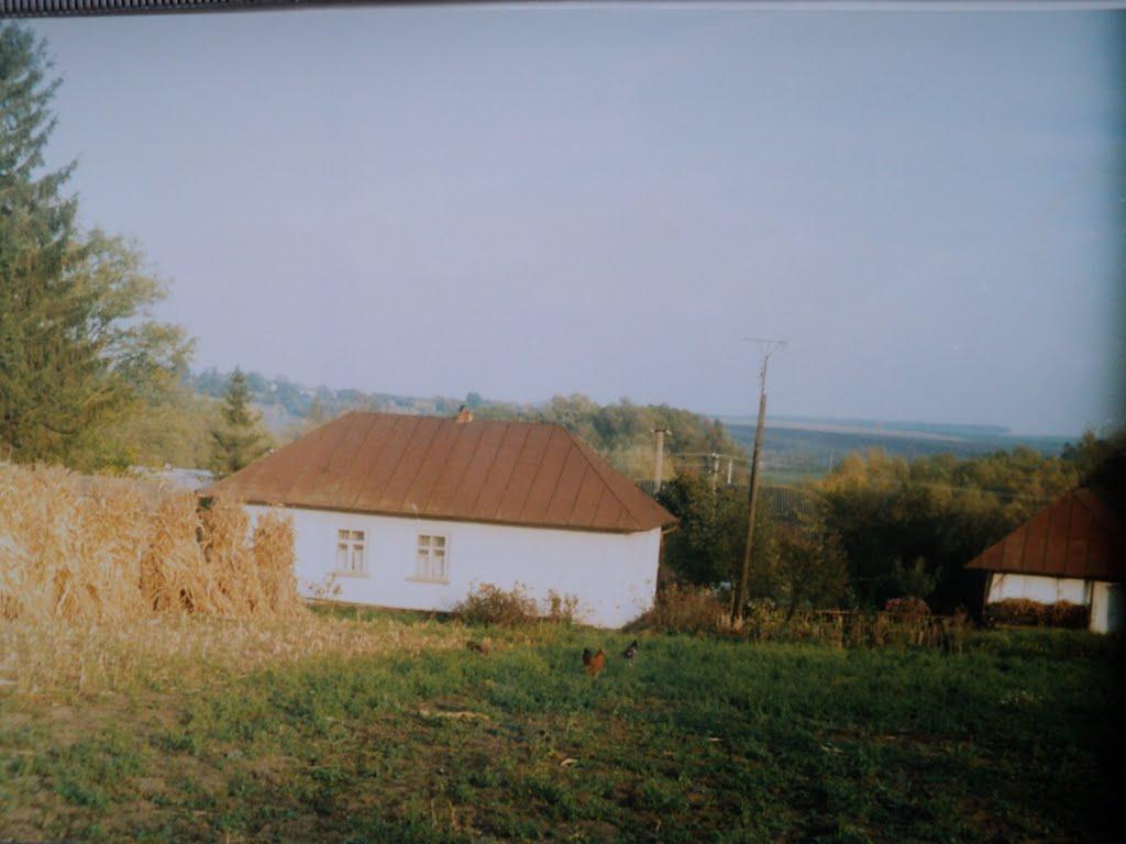 Борщівка з panoramio.com - Борщевка