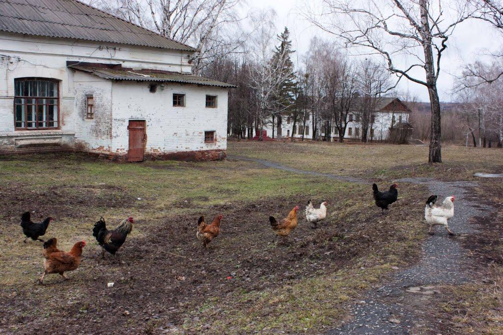 Мар'їне з panoramio.com - Мар'їне