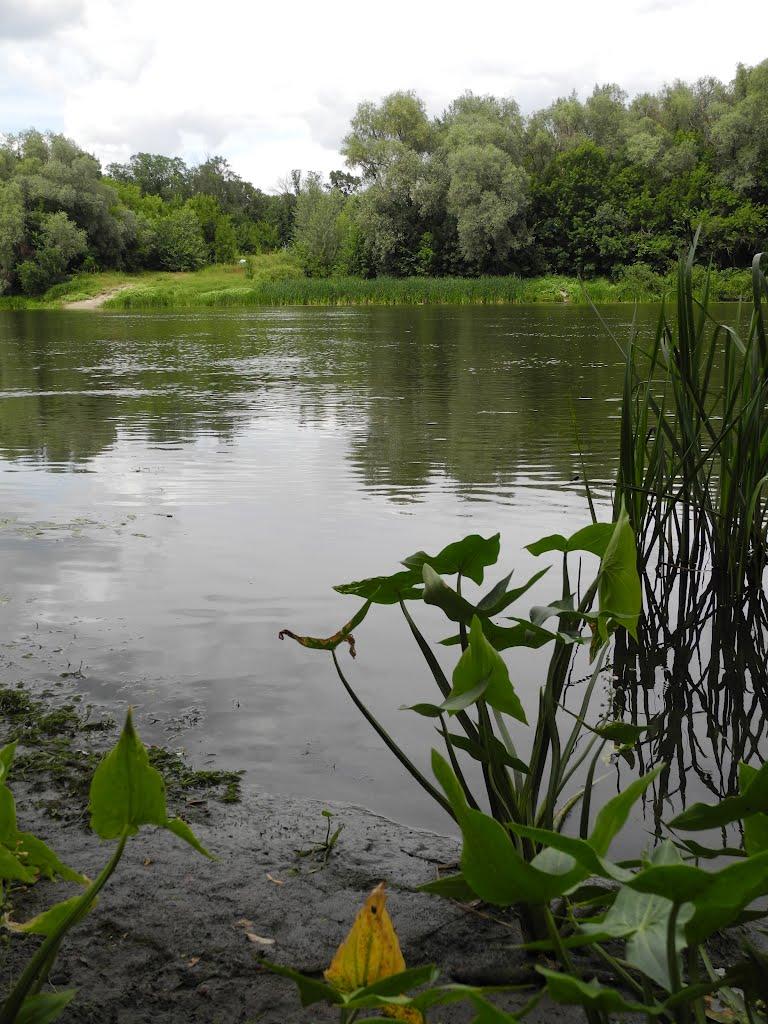 Пархоменко з panoramio.com - Пархоменко