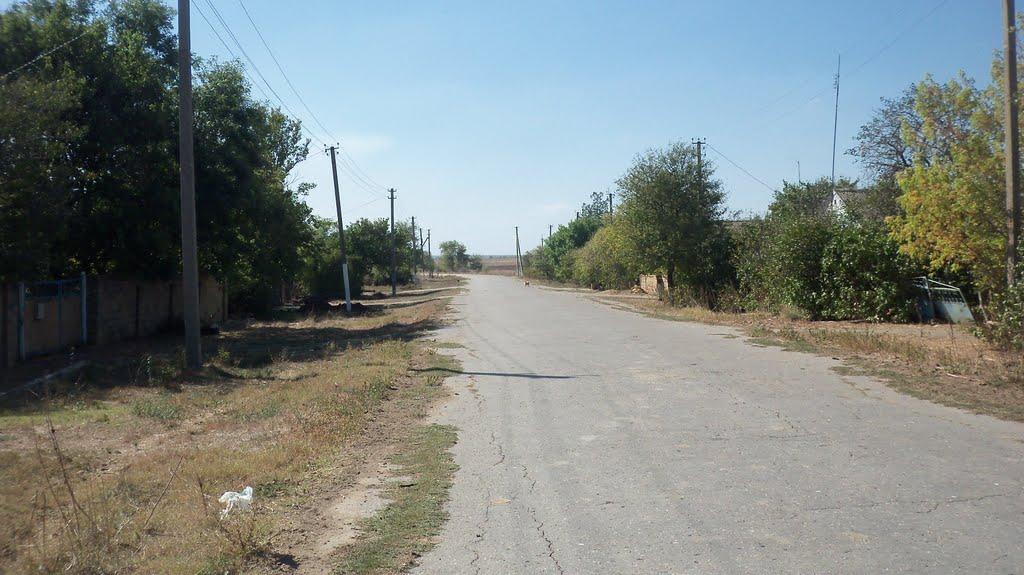 Зимине з panoramio.com - Зимине