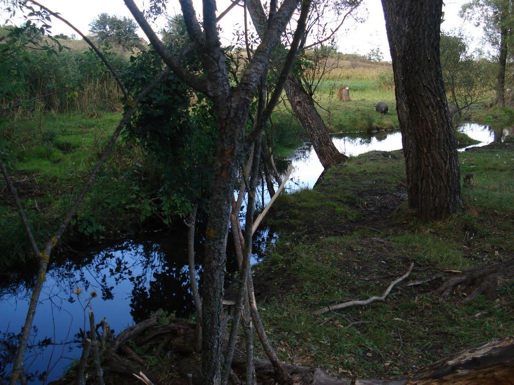 Берека з panoramio.com - Берека