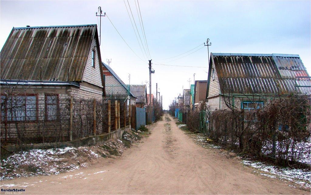 Галицинове з panoramio.com - Галициново