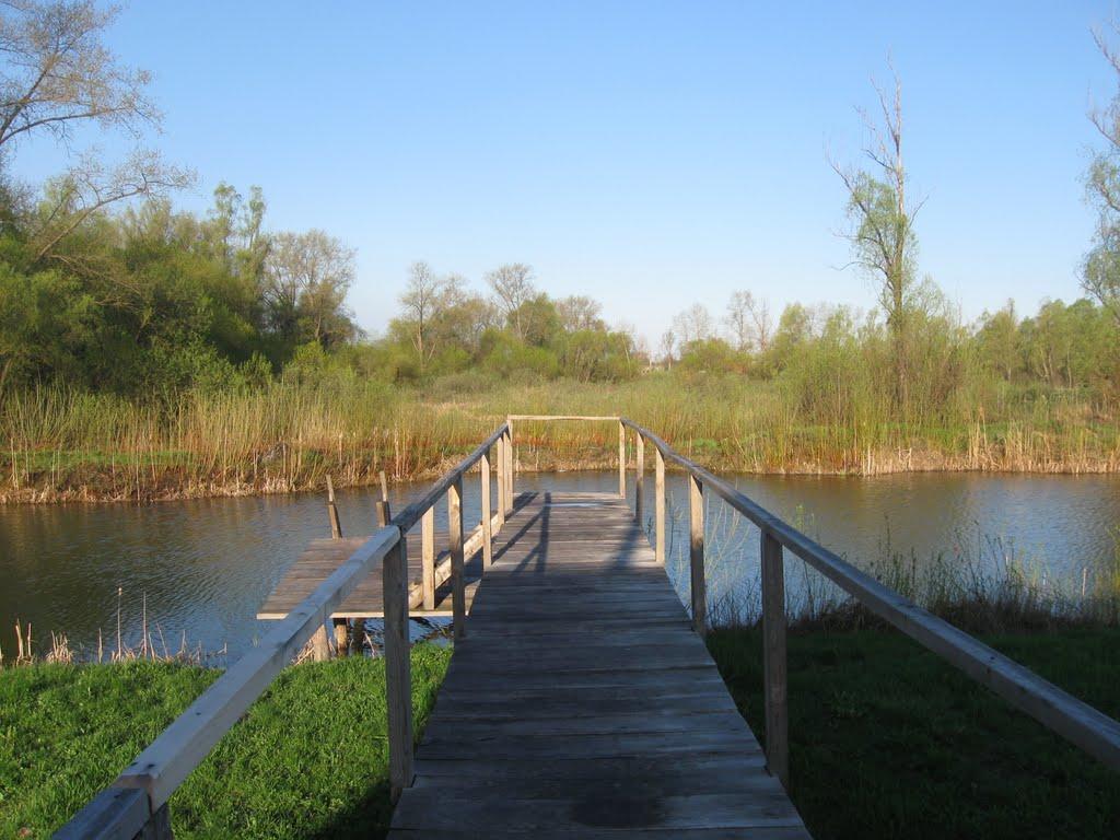 Требухів з panoramio.com - Требухов