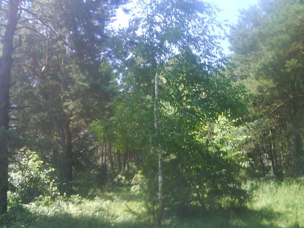 Радянське з panoramio.com - Радянське