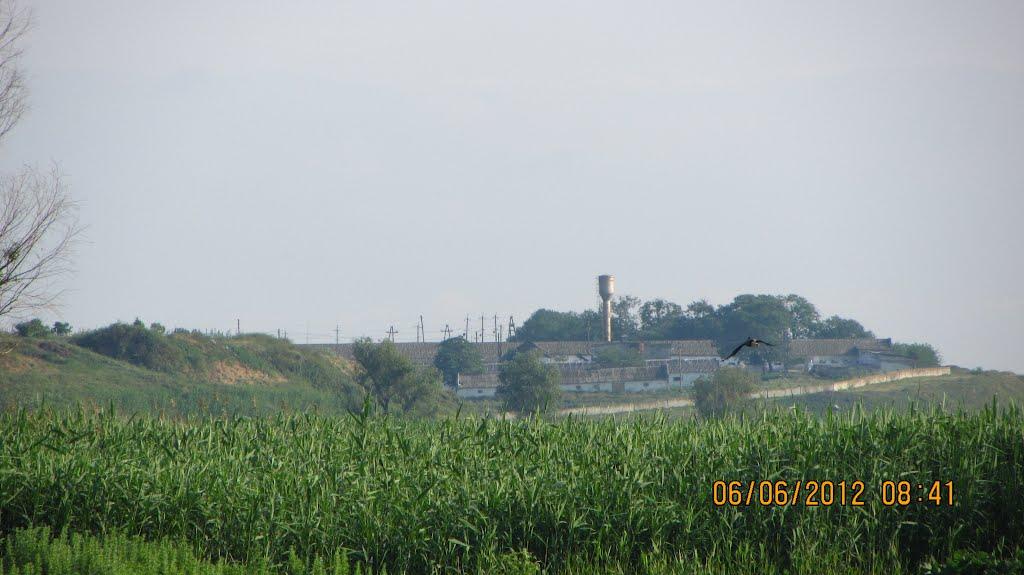 Стара Некрасівка з panoramio.com - Старая Некрасовка