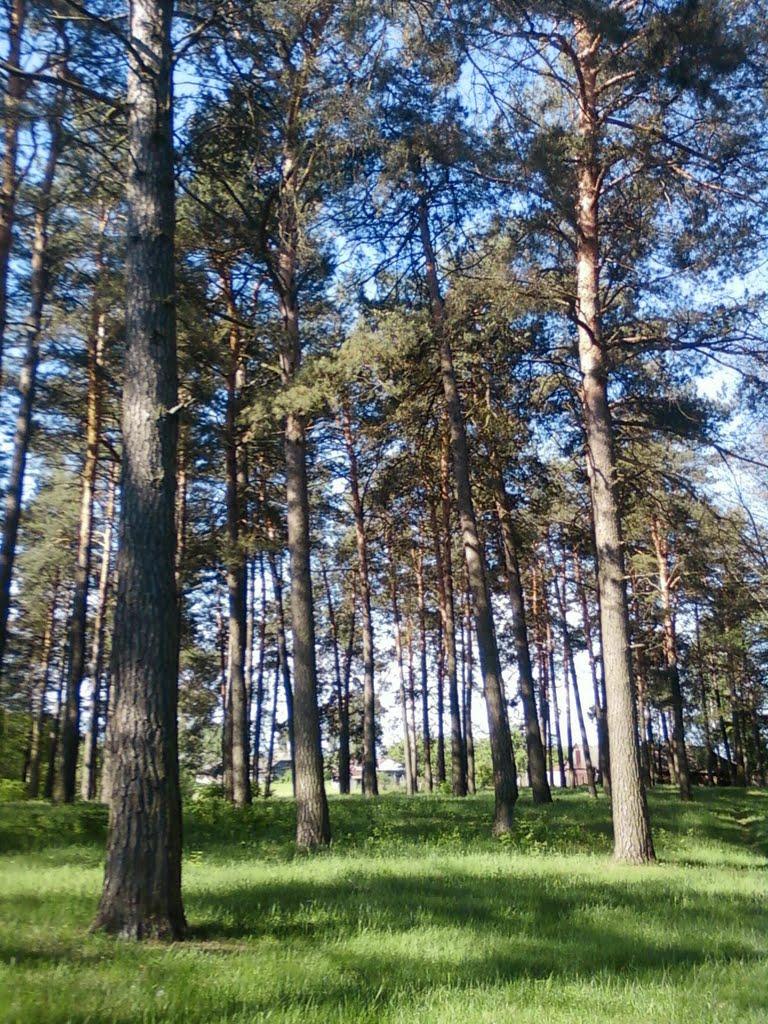Свеса з panoramio.com - Свесса
