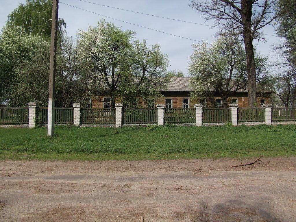 Виблі з panoramio.com - Виблі