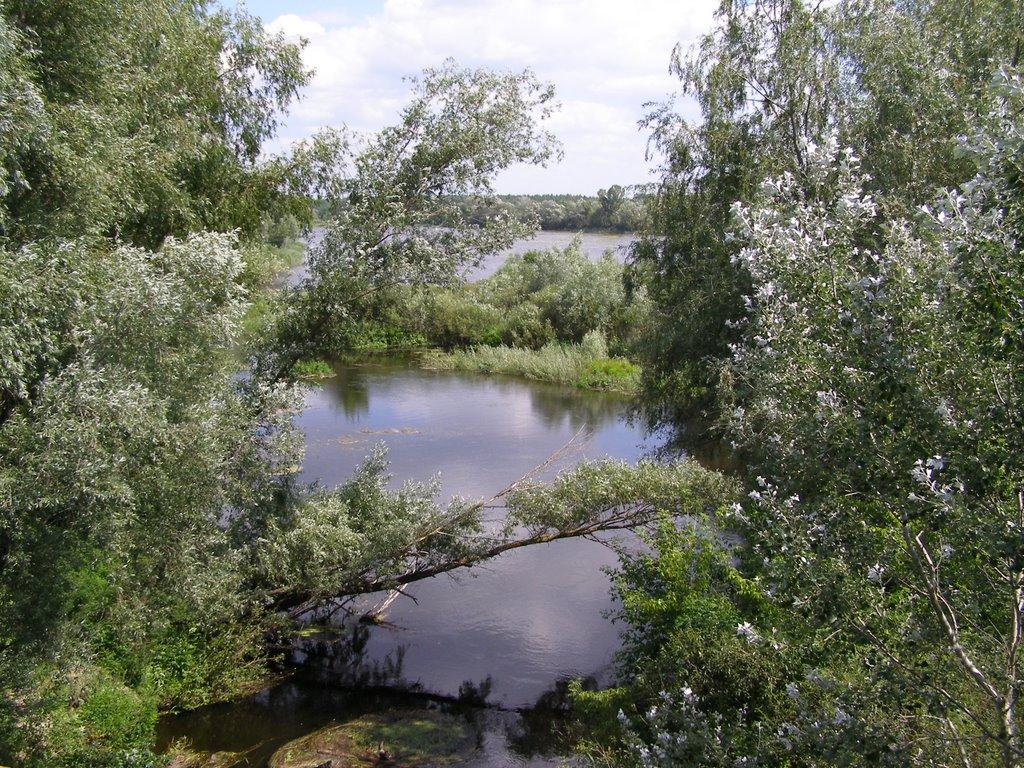 Проточі з panoramio.com - Проточи