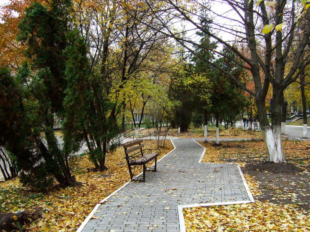 Мартинівка з panoramio.com - Мартинівка