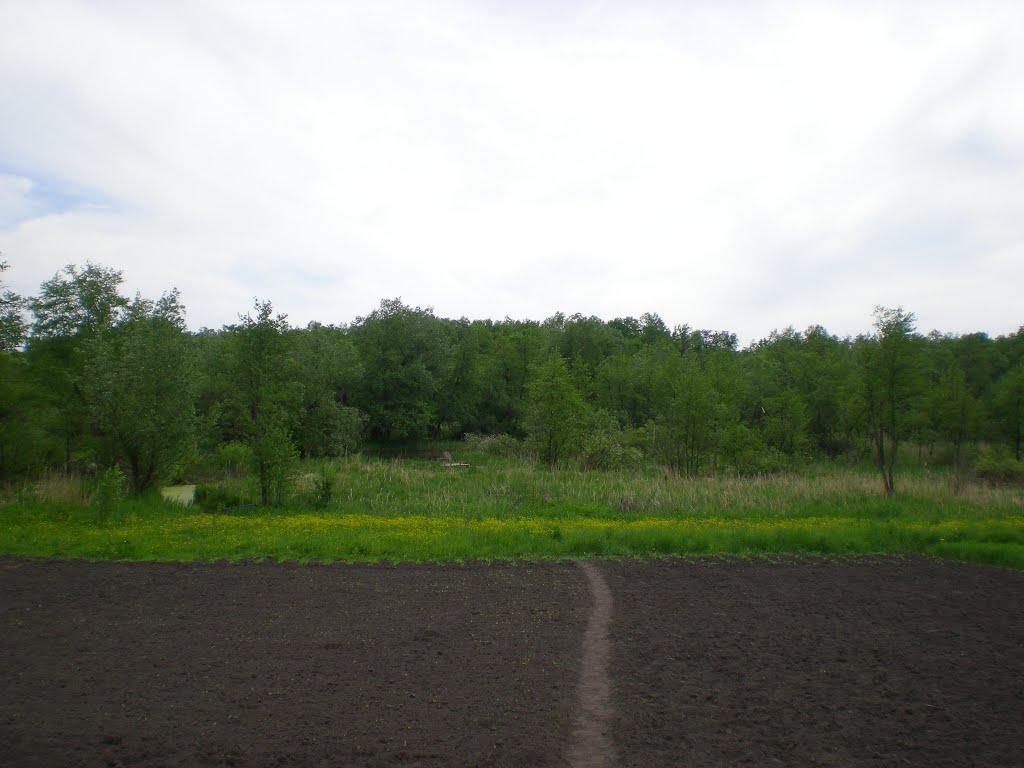 Дулицьке з panoramio.com - Дулицьке