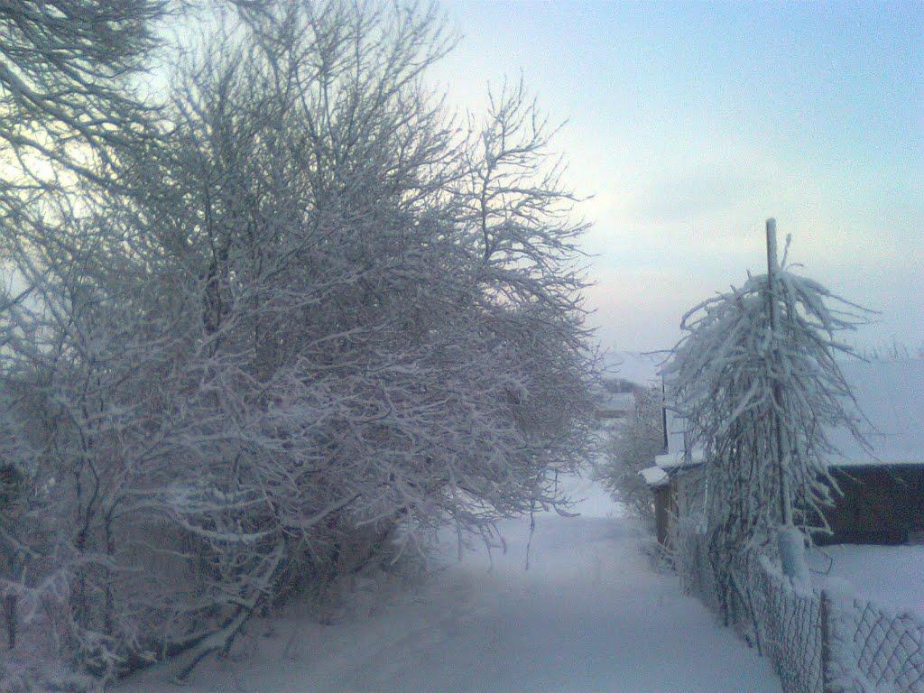 Хорів з panoramio.com - Хоров