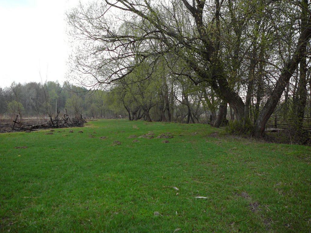 Люджа з panoramio.com - Люджа