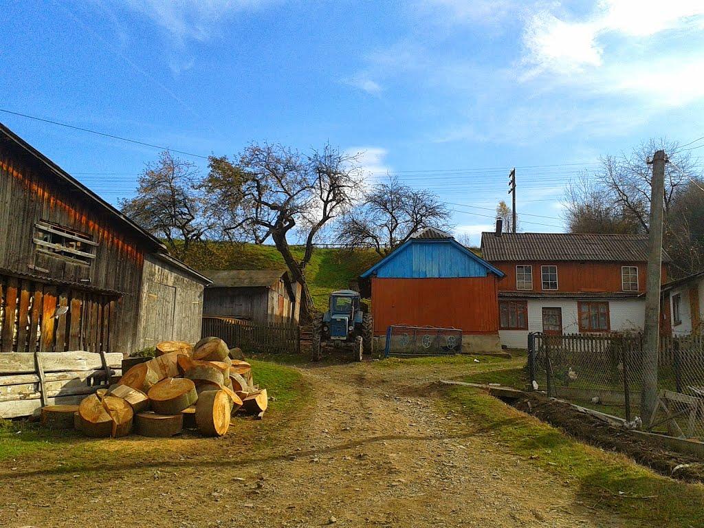 Топільниця з panoramio.com - Топільниця