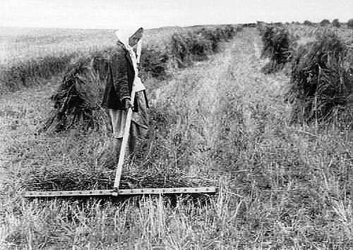 Исторические фото СЕЛА - Великие Крынки