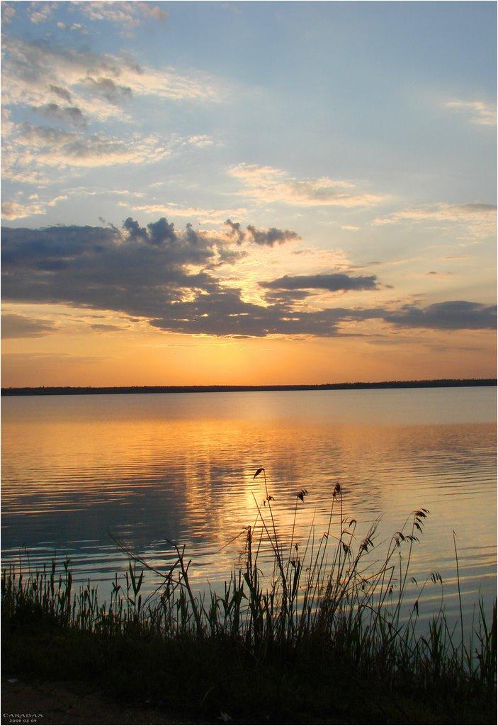 Галицинове з panoramio.com - Галициново