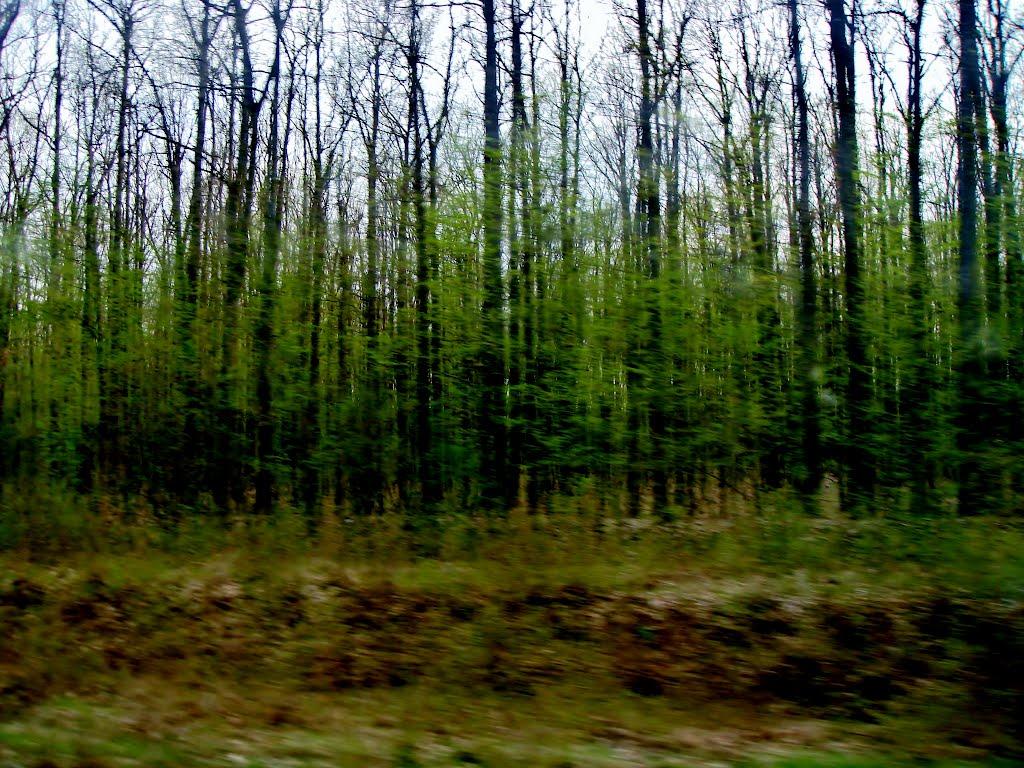Смільчинці з panoramio.com - Смельчинцы