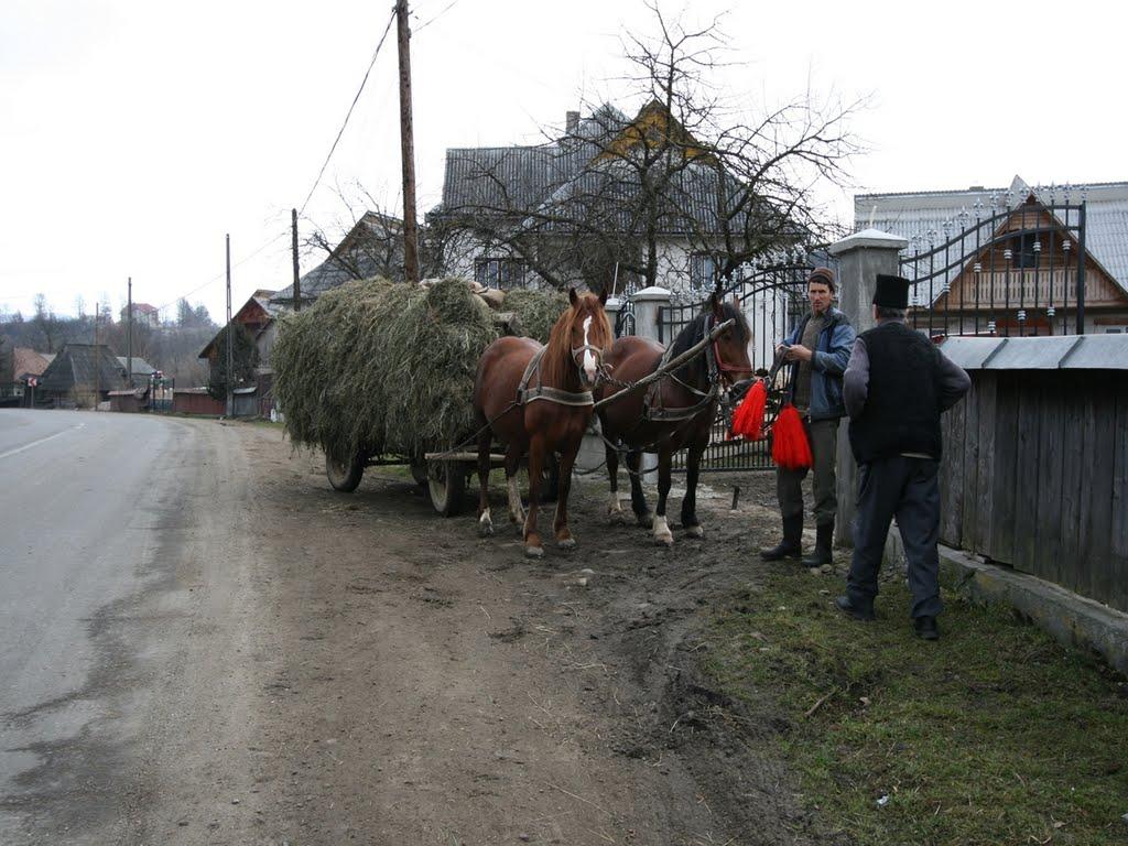 Біла Церква з panoramio.com - Біла Церква