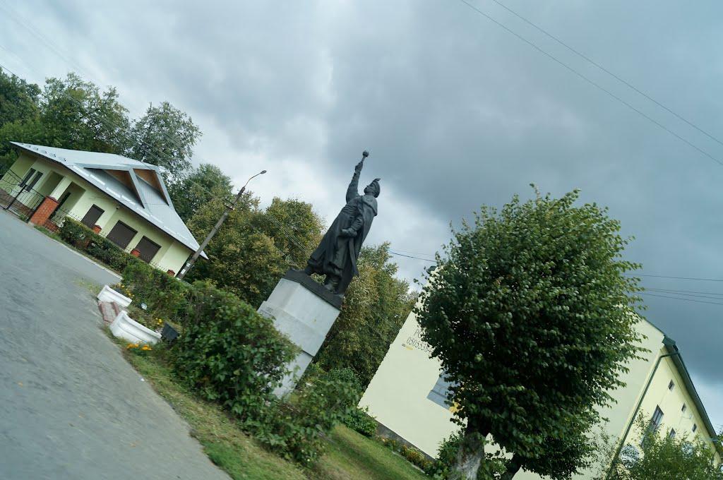 Рава-Руська з panoramio.com - Рава-Руська