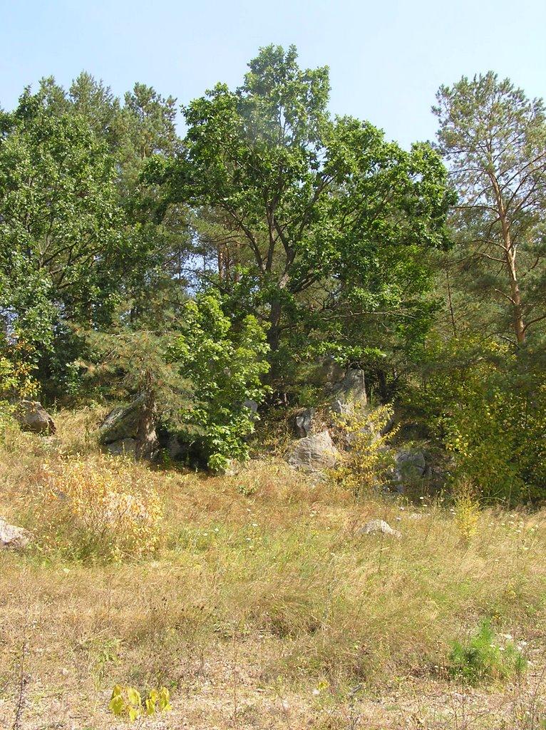 Мала Цвіля з panoramio.com - Мала Цвіля