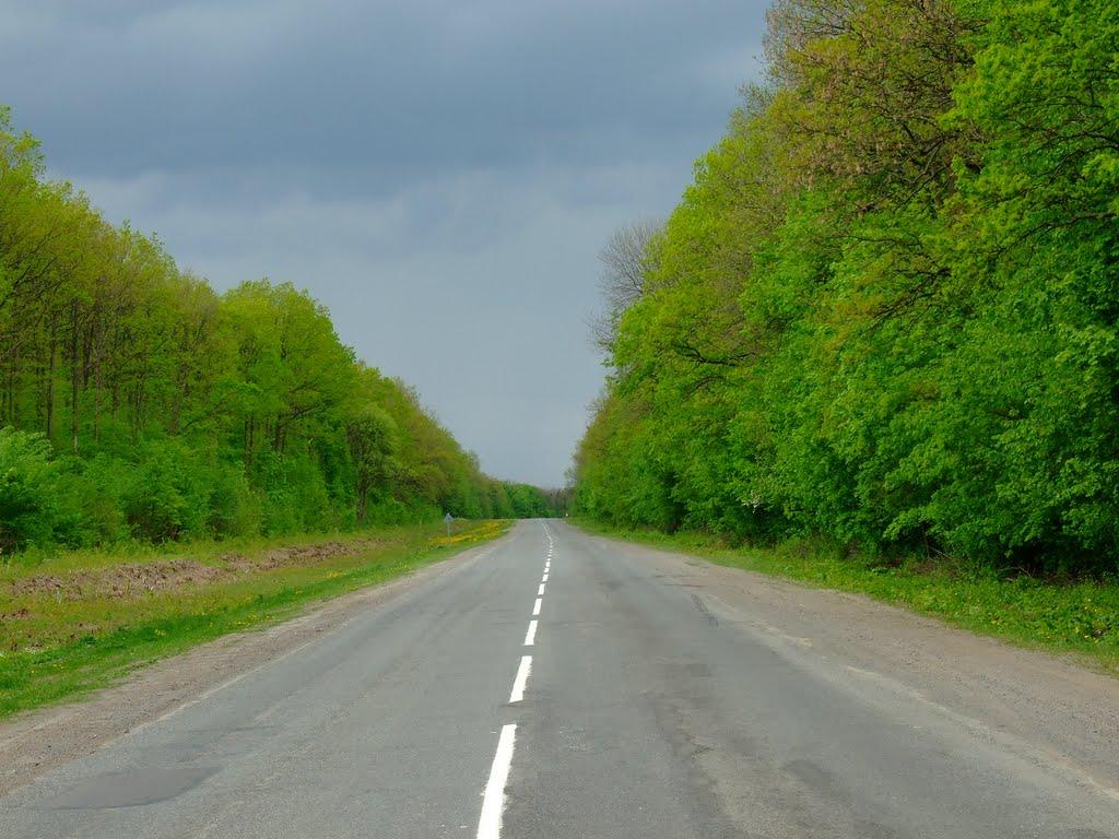 Смільчинці з panoramio.com - Смельчинцы