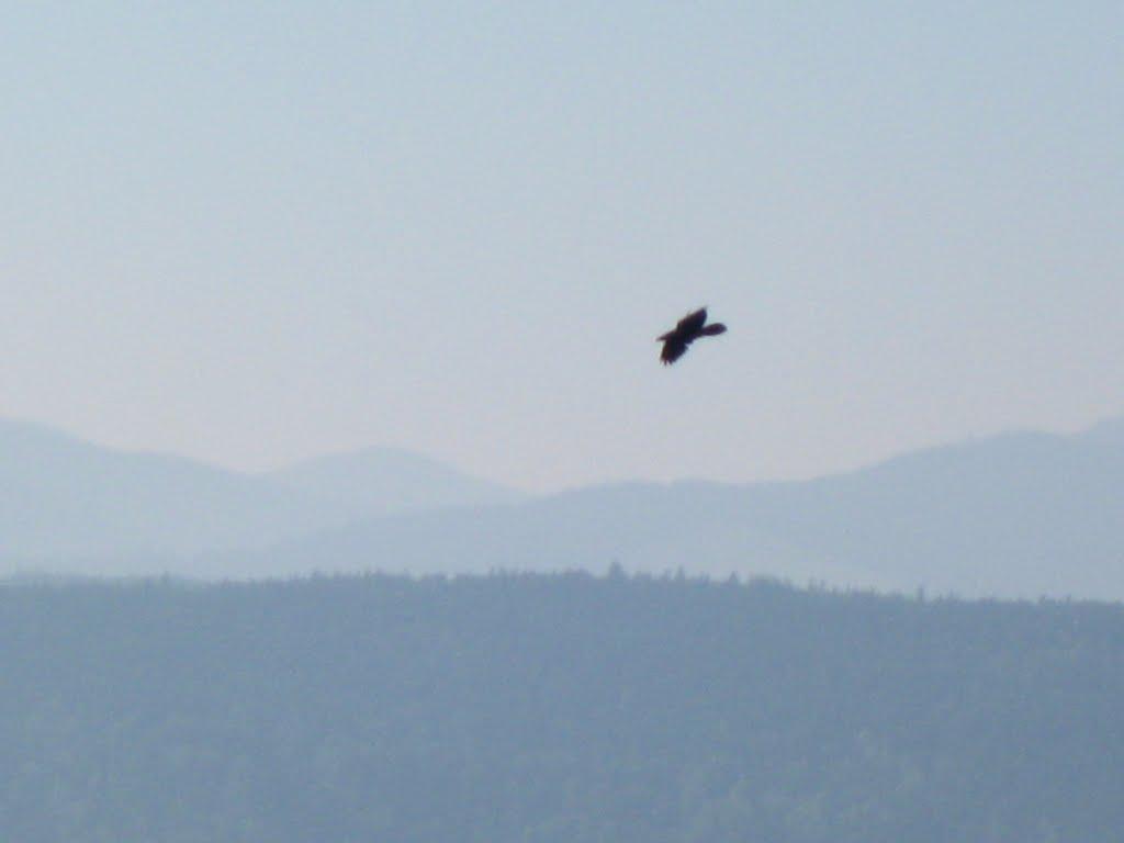 Баня-Березів з panoramio.com - Banya-Bereziv