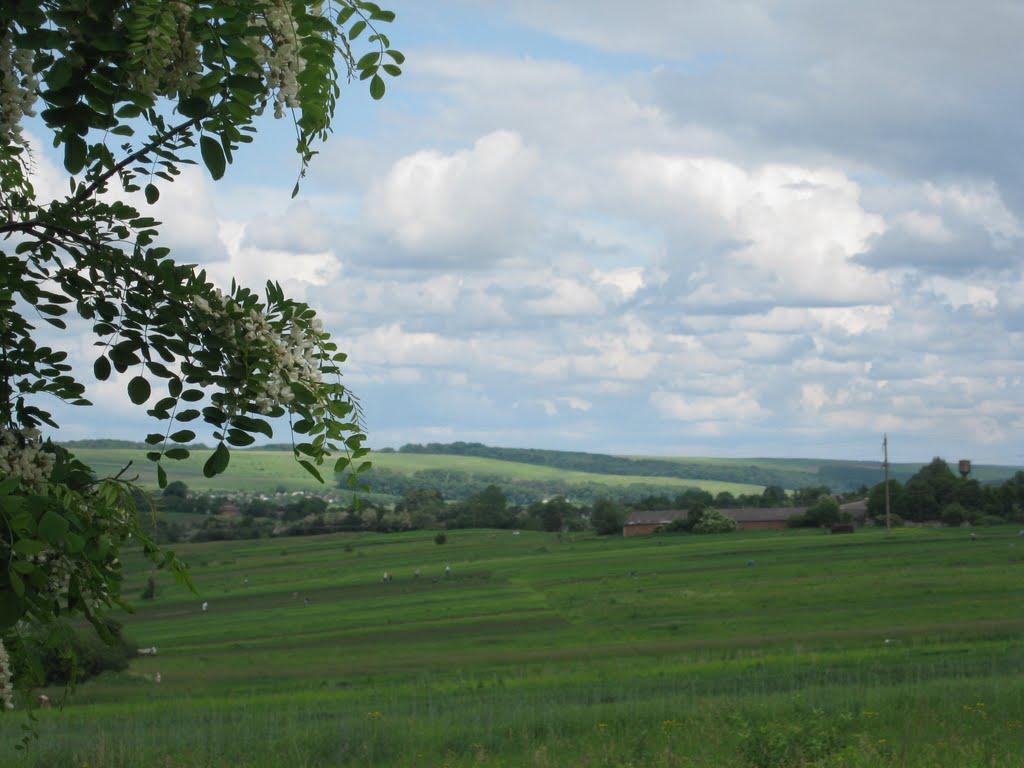 Бурштин з panoramio.com - Burshtyn
