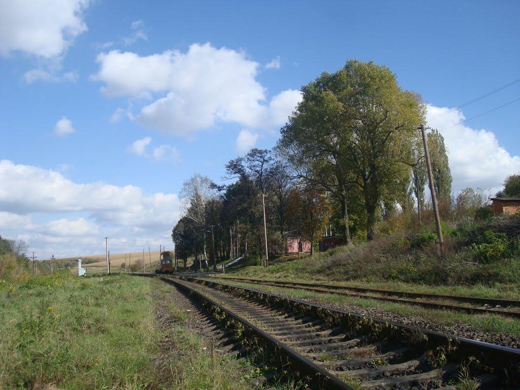 Климашівка з panoramio.com - Klymashivka