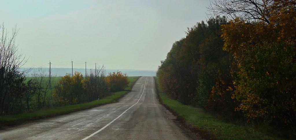 Олександрівка з panoramio.com - Александровка