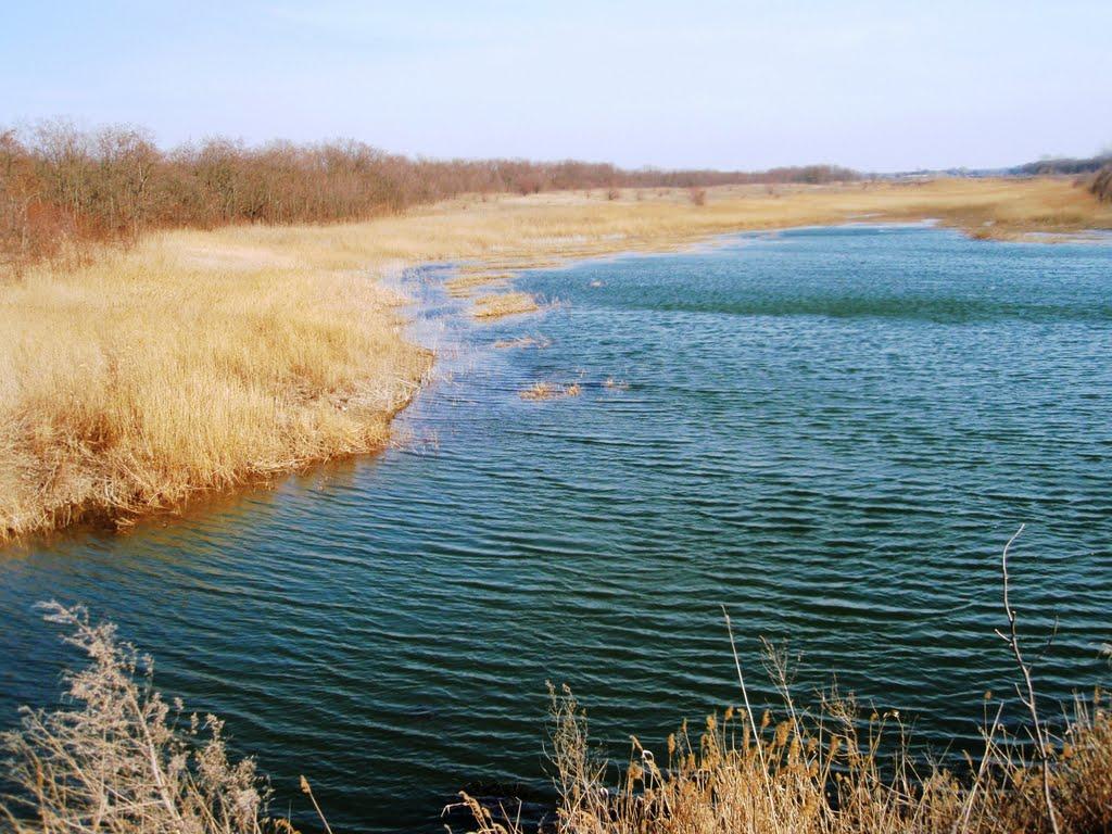 Дмитрівське з panoramio.com - Дмитрівське