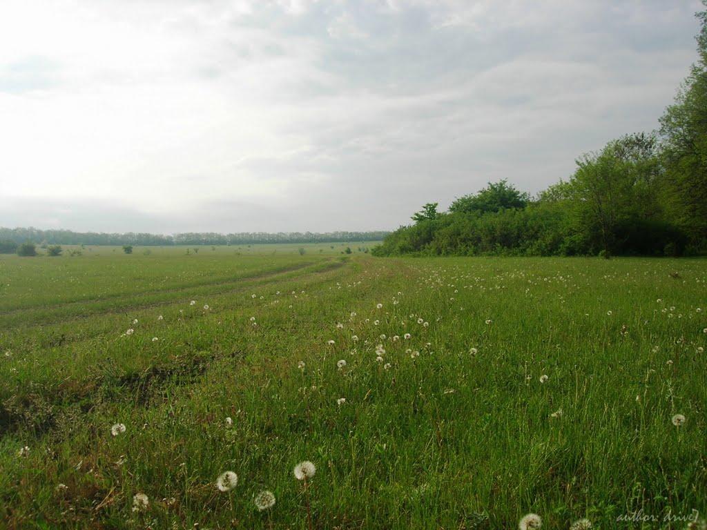 Грузька Григорівка з panoramio.com - Грузька Григорівка