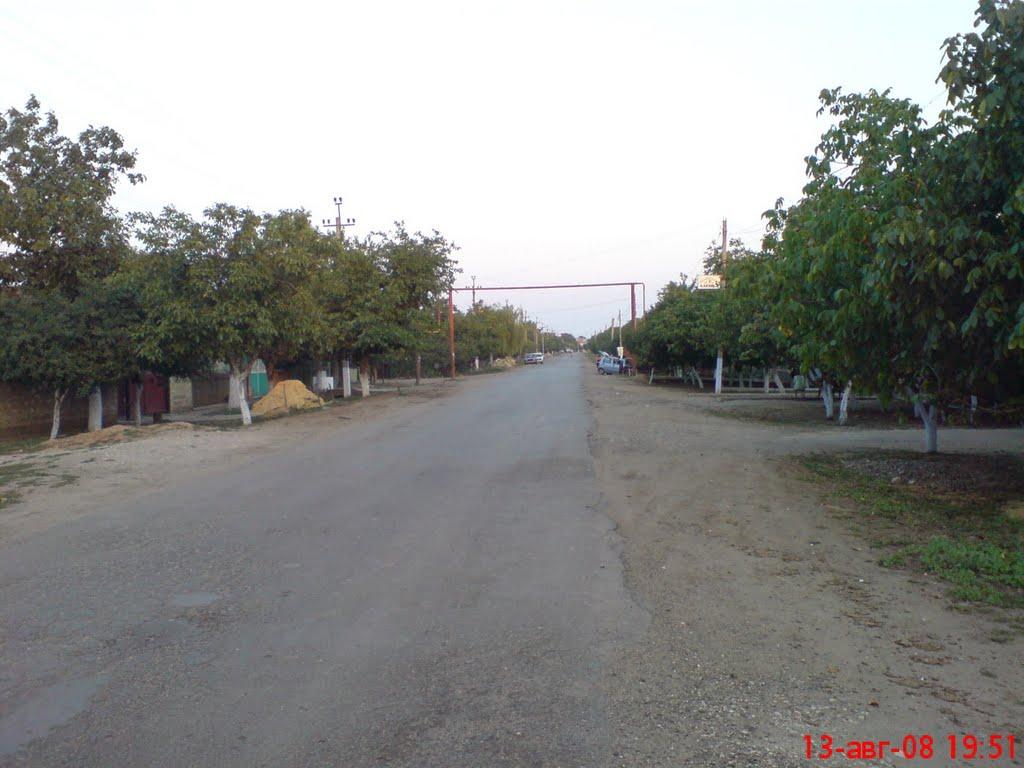 Підгірне з panoramio.com - Підгірне