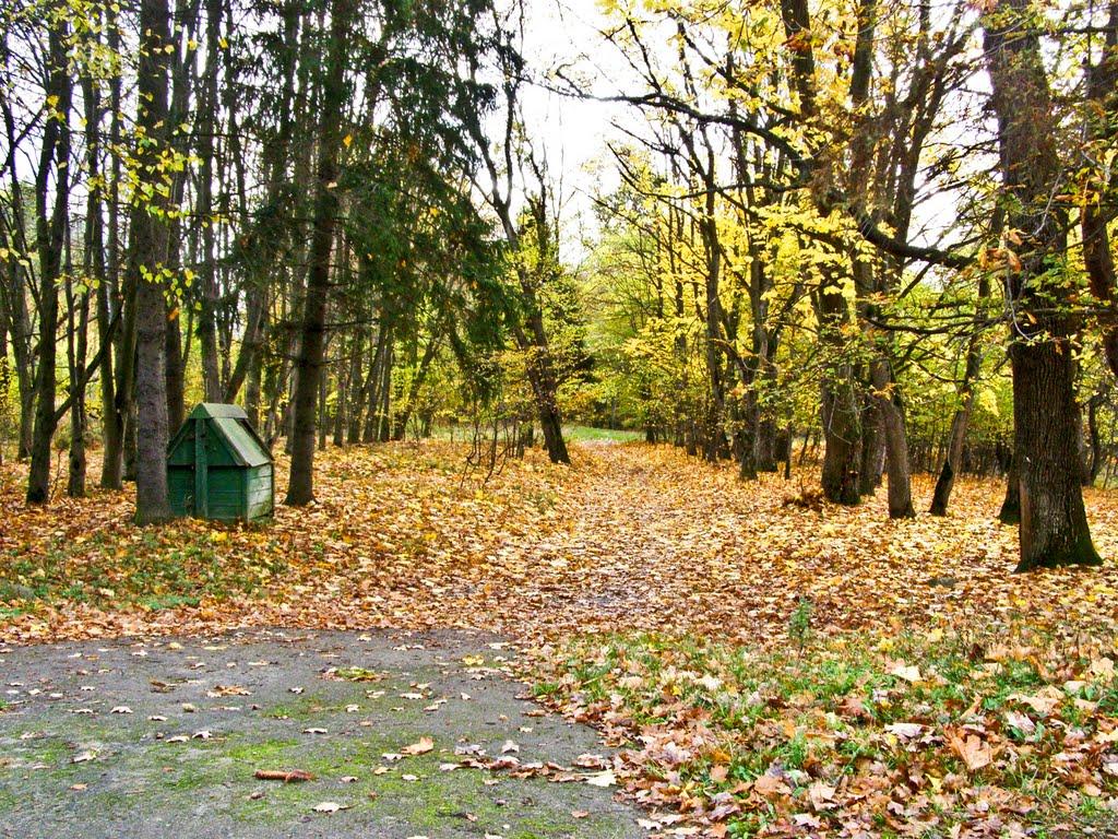 Бондарці з panoramio.com - Бондарці