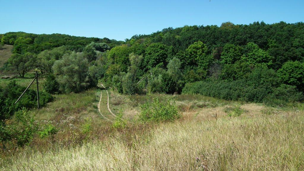 Тишківка з panoramio.com - Тишковка