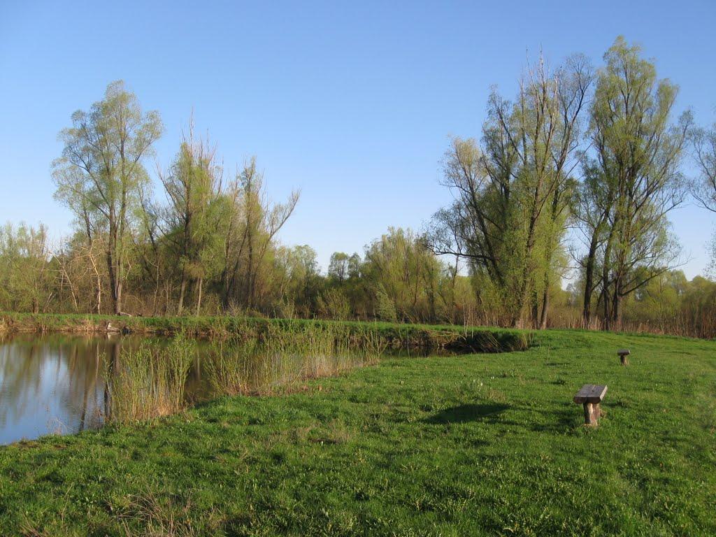 Требухів з panoramio.com - Требухов