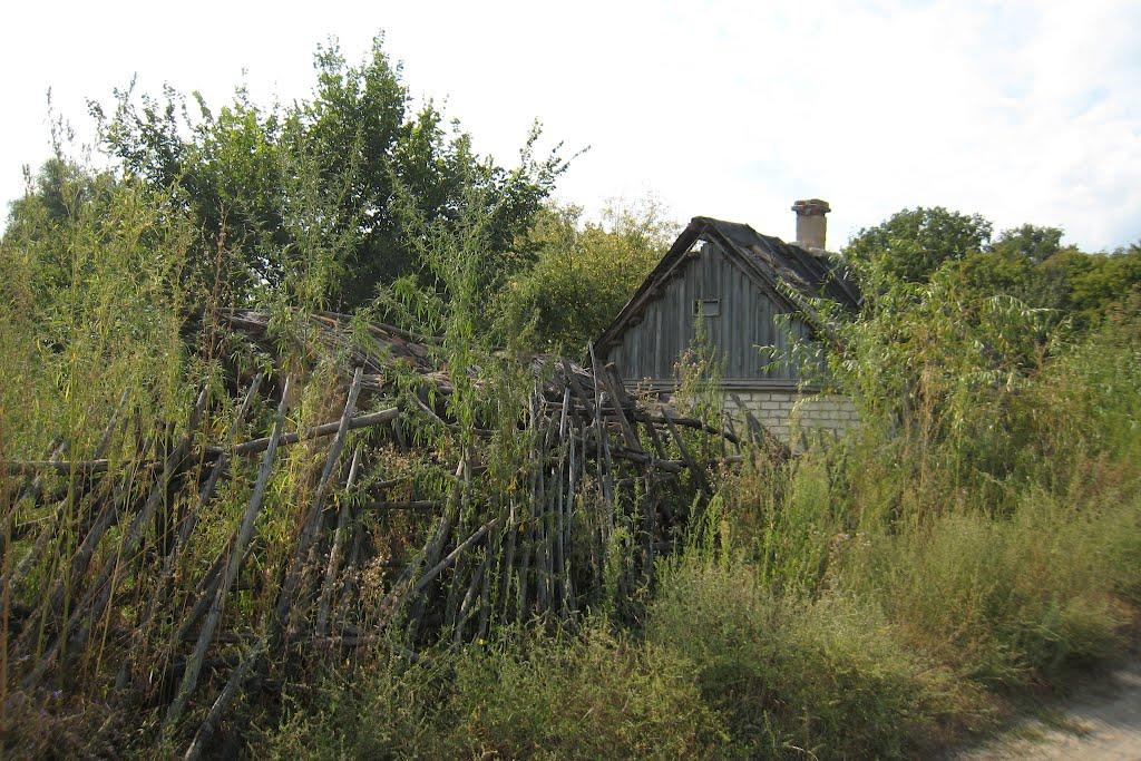 Піщане з panoramio.com - Піщане